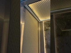 관측 / 풍경 고속 승강기 승객용 멀티 모델